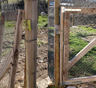 Fixed up the garden gate