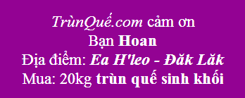 Trùn quế về Ea H'leo