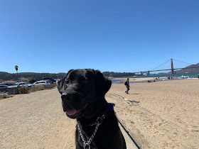 Leia y al fondo el Golden Gate