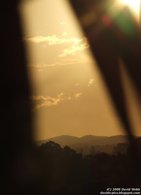 looking through leaves at the sun setting over the mountains