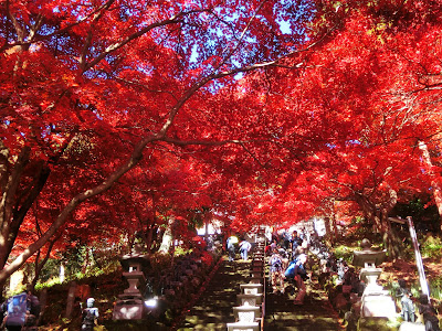  大山寺の紅葉