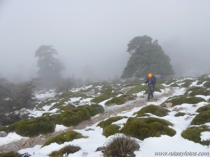 Subida al Torrecilla desde Quejigales