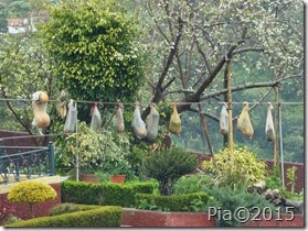P1060265