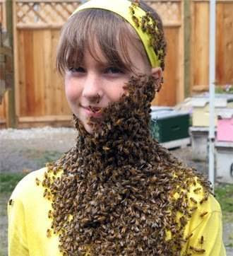 bee costume