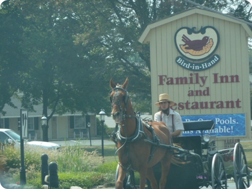 Shady Maple Smorgasbord 107