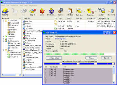 Internet Download Manager 6.06 Build 8 ML