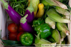 a typical summer CSA farm share box with corn, squash, eggplant, tomatoes, peppers, and beans