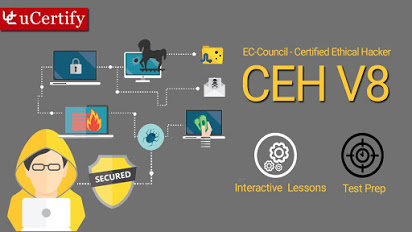 CEH v8 : Certified Ethical Hacker V8 Books