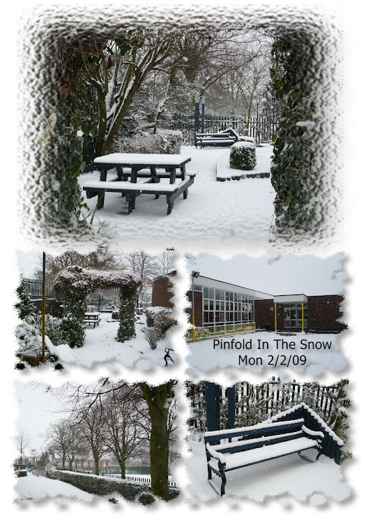 Pinfold In The Snow 2009