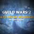 [GW2] Guild Wars 2 - Tips for Winter Wonderland by AgvirtheSilent