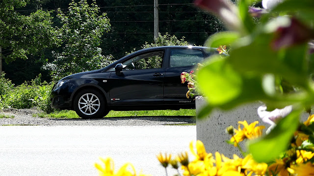 Seat Ibiza with flowers 
