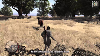 Red Dead Redemption Video Game