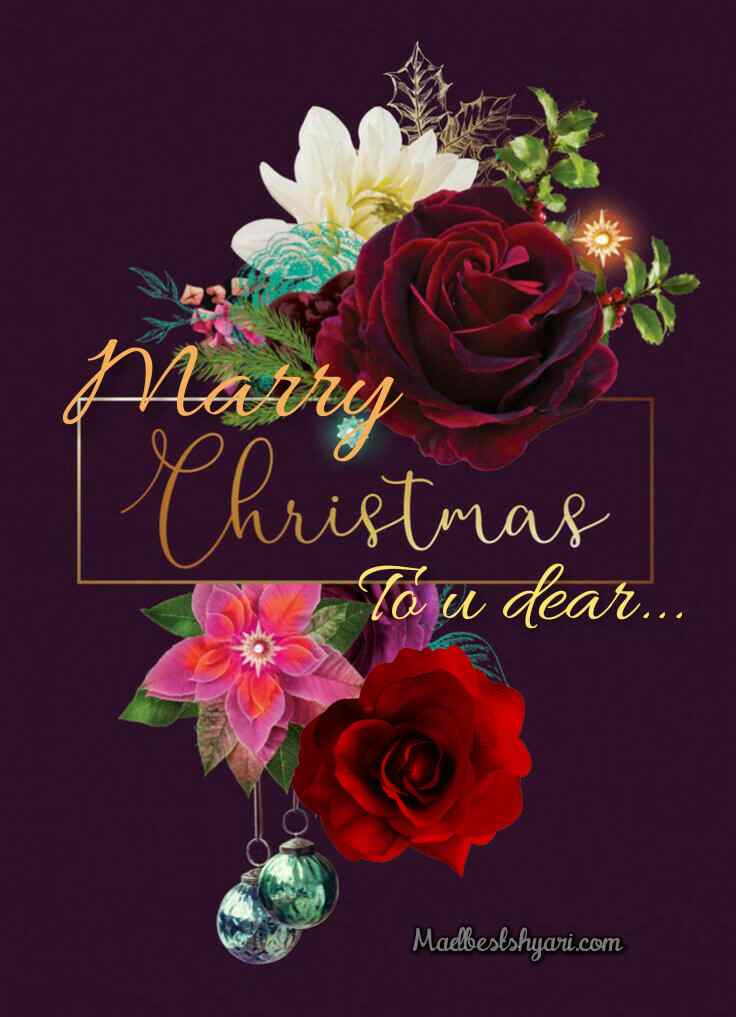 merry christmas greetings