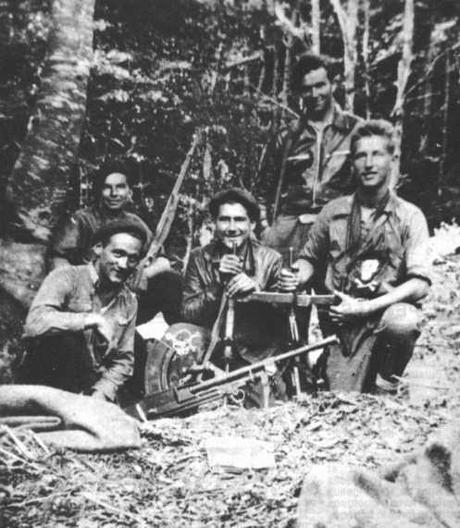 Breve memoria de la guerrilla antifranquista (Andalucía, León-Galicia) -