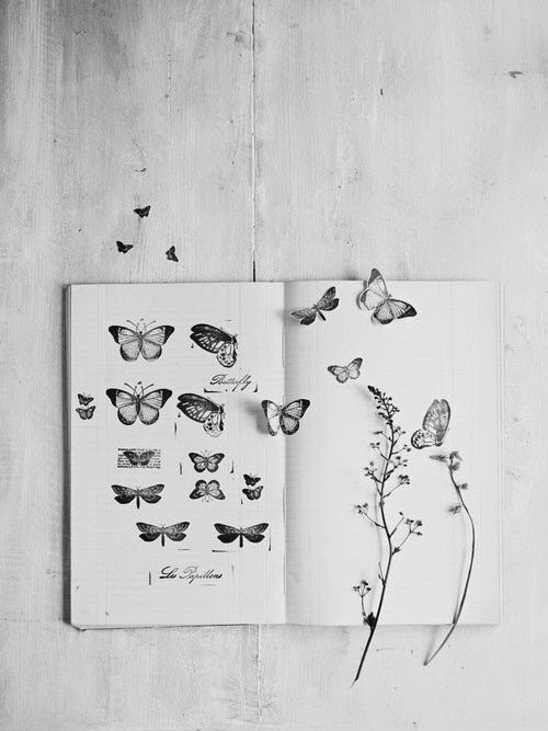 paper | hand cut paper butterflies