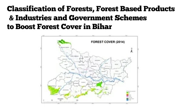 Classification of Forests, Forest-based Industries and Government Schemes to Boost Forests in Bihar