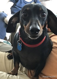Hi Bryce!