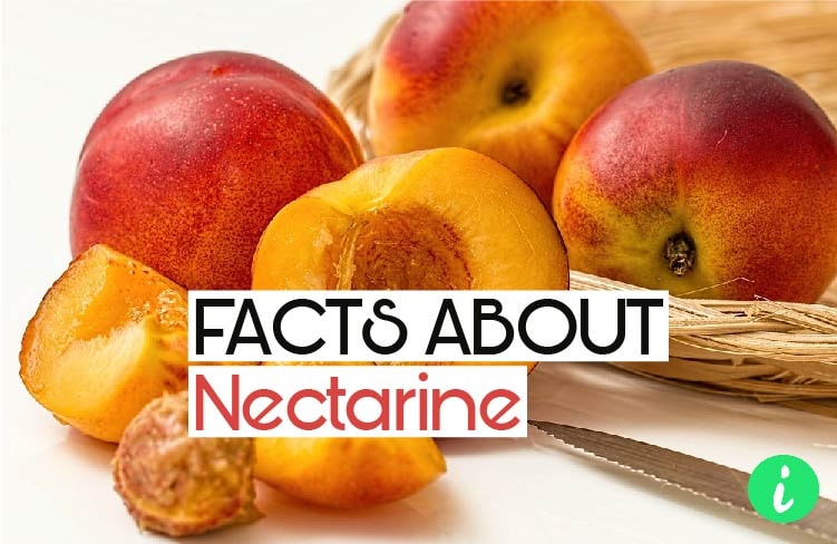 Nectarine Facts