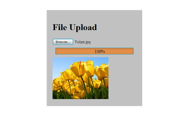 File Upload Progess Bar with JavaScript HTML PHP