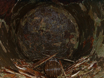 Heavily Corroded Domestic Hot Water Storage Tank