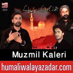 http://www.humaliwalayazadar.com/2015/10/muzmil-kaleri-nohay-2016.html