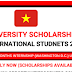 Vin University Scholarships for International Students 2023 (Apply)