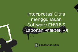 Interpretasi Citra menggunakan Software ENVI 5.3 (Laporan Praktek PJ)