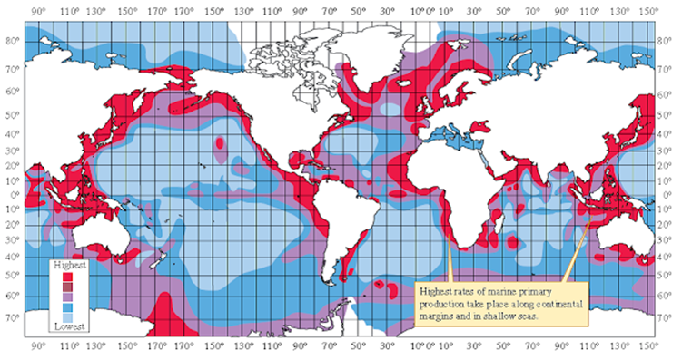 Productividad oceánica. Los ecosistemas más productivos en los océanos se encuentran cerca de las costas, pues reciben materiales erosionados de las montañas a través de los ríos. El mar abierto es básicamente un desierto.