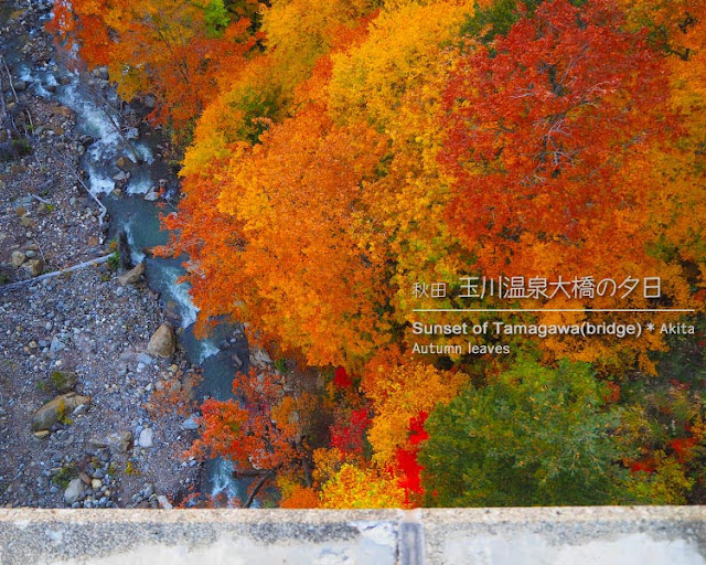 玉川温泉大橋の紅葉（夕暮れ時）秋田県