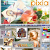 Pixia 6.0e