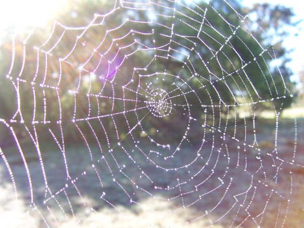 Evil From A Theologian Point Of View