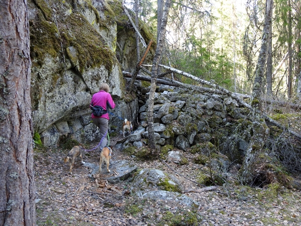 Rukkedøla Nesbyen