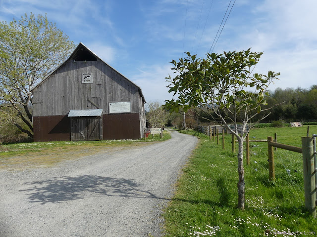 barn along the driveway