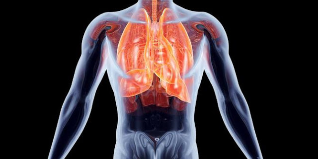 Tips for maintaining healthy lungs and Heart