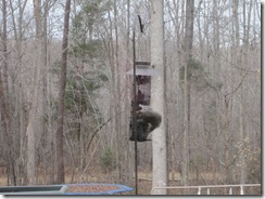 January 2011 187