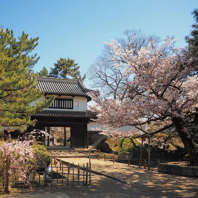 亀城公園　土浦城　櫓門