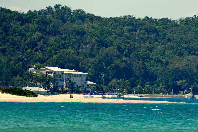 Tangalooma Resort Hotel Moreton Island Organisation Kritik