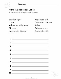 Moth ABC worksheet