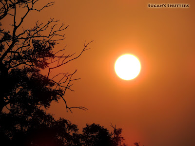 Sunset in Budalur