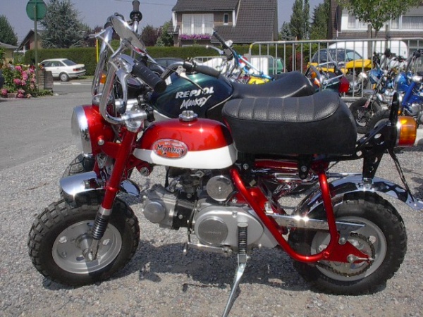 Bike One: Honda Z50 Monkey or