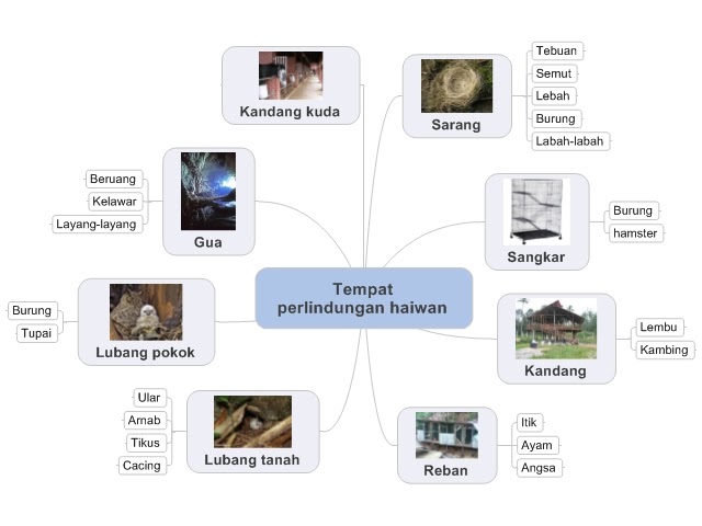 Contoh Soalan Sains Tahun 5 Akhir Tahun - Kecemasan 0