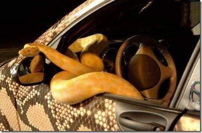 awesome snake car 3