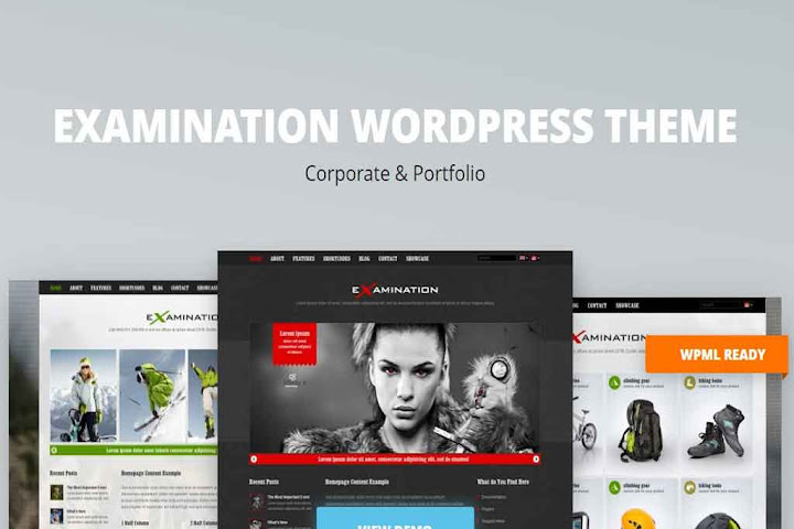 Examination WordPress Theme