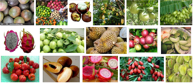 Fruits