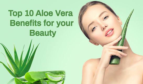 Aloe Vera Benefits