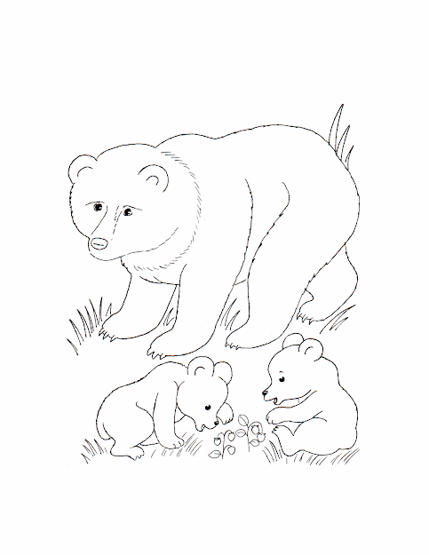 Wild Animals Coloring Pages   Wild Animals  Kids Printables Coloring  Pages
