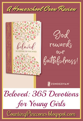 #hsreviews #devotions #DevotionsForYoungWomen #Beloved #books #reading #bookstagram #christianity #faith