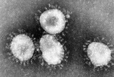 Pengertian Penyakit Virus Corona (Korona Virus) Penyebab dan Gejala