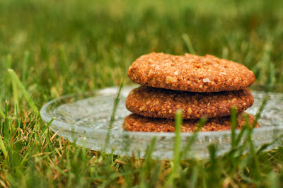 Ginger Cookies {Paleo} - Gluten, sugar, and dairy free