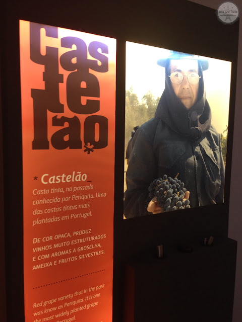 Adega Cartuxa enoturismo